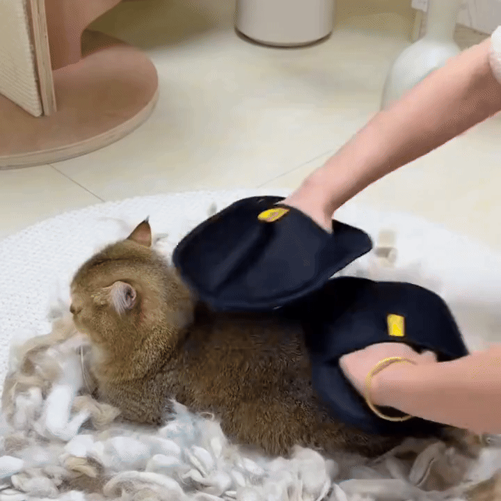 Pet Hair Remover Glove