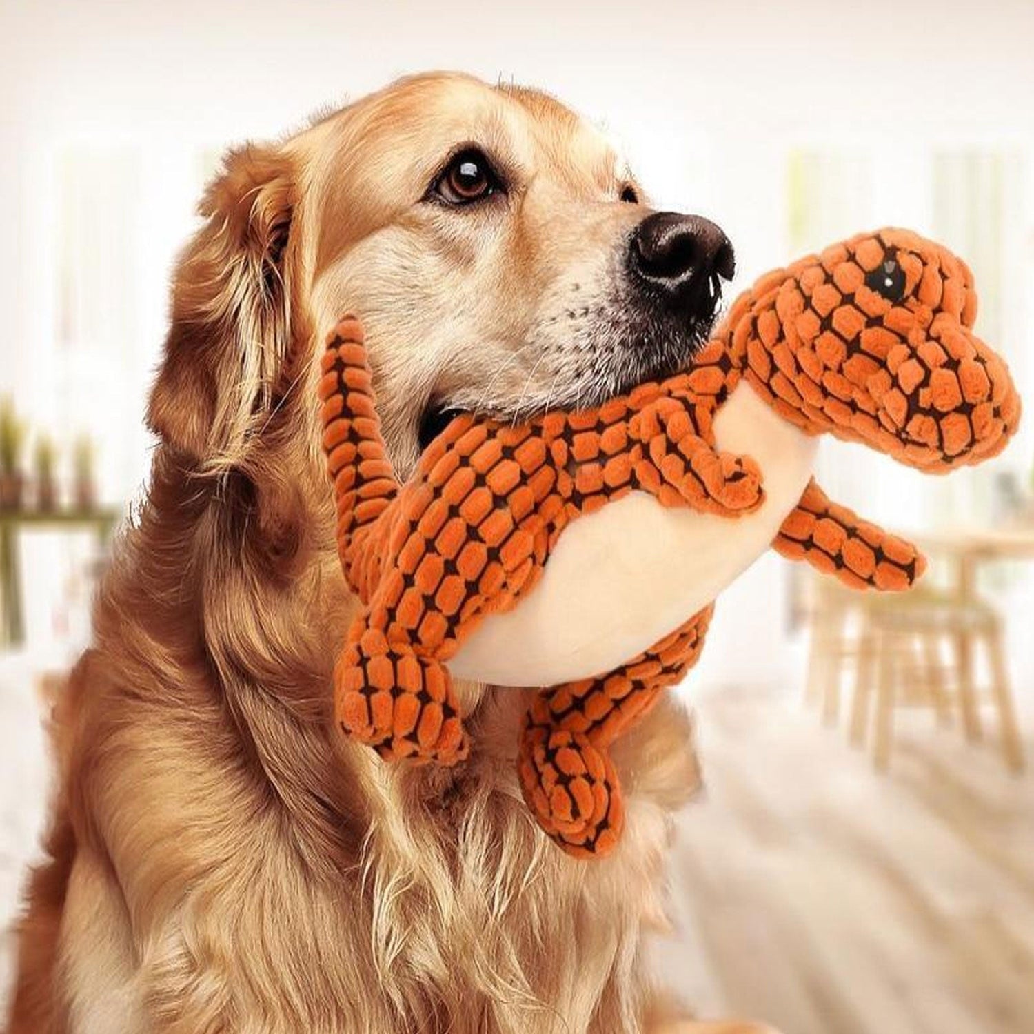 Fun & Smart Toys