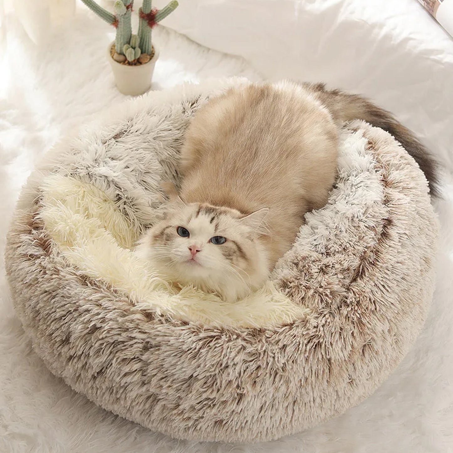 Autumn And Winter Soft Plush Pet Bed