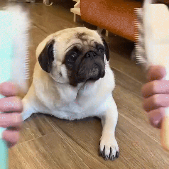 Pet Comb Hair Removal Tool